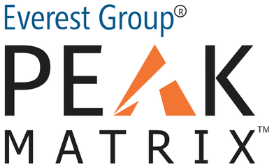 Everest Group PEAK Matrix